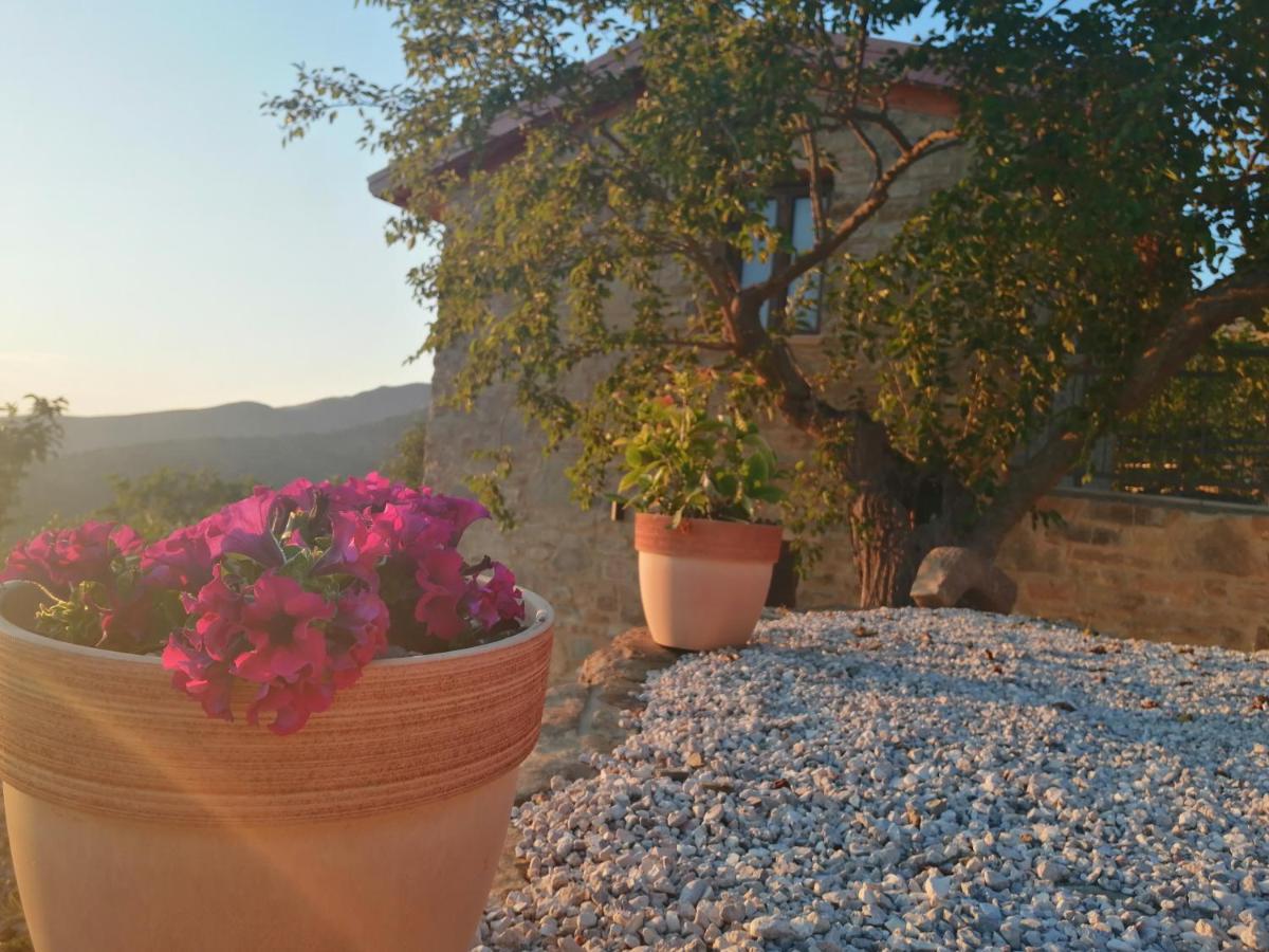 Villa Agricoltura Rascio San Mauro Cilento Exterior foto